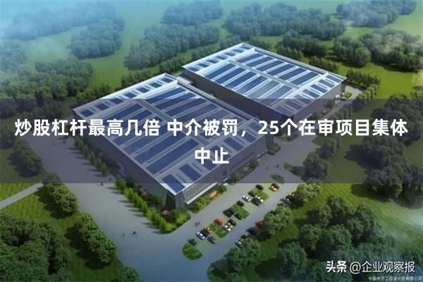 炒股杠杆最高几倍 中介被罚，25个在审项目集体中止