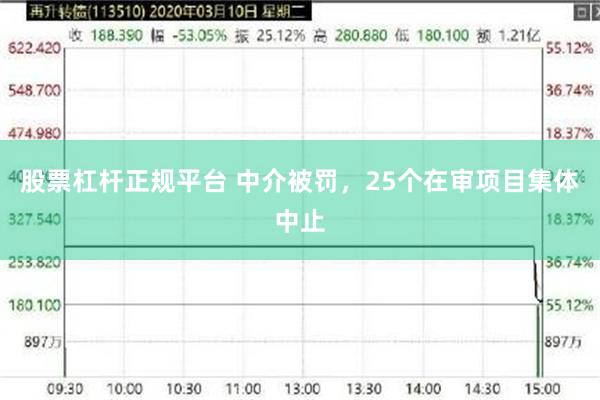 股票杠杆正规平台 中介被罚，25个在审项目集体中止