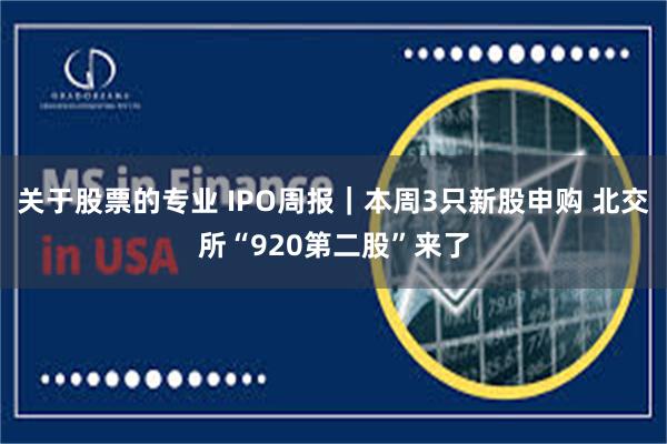 关于股票的专业 IPO周报｜本周3只新股申购 北交所“920第二股”来了