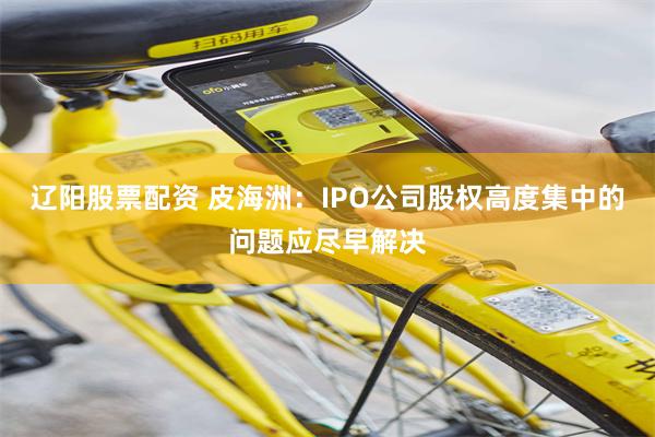 辽阳股票配资 皮海洲：IPO公司股权高度集中的问题应尽早解决