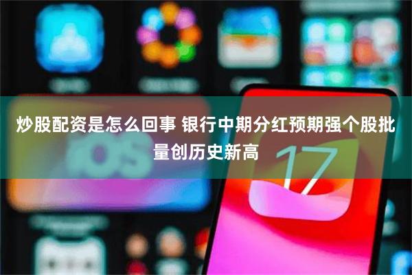 炒股配资是怎么回事 银行中期分红预期强个股批量创历史新高