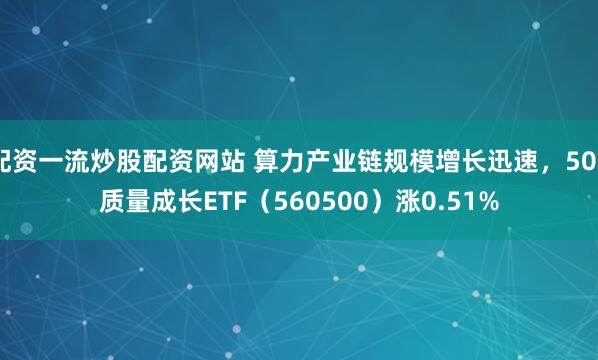 配资一流炒股配资网站 算力产业链规模增长迅速，500质量成长ETF（560500）涨0.51%