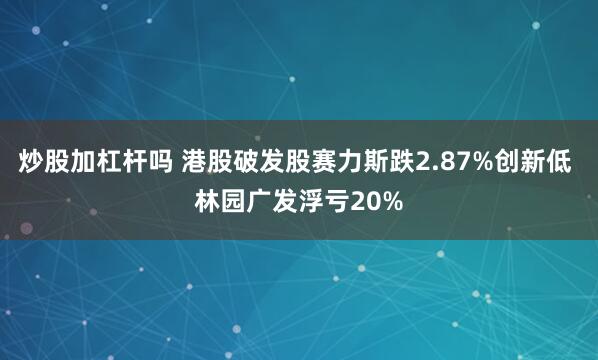炒股加杠杆吗 港股破发股赛力斯跌2.87%创新低 林园广发浮亏20%