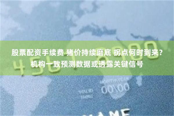 股票配资手续费 猪价持续磨底 拐点何时到来？机构一致预测数据或透露关键信号