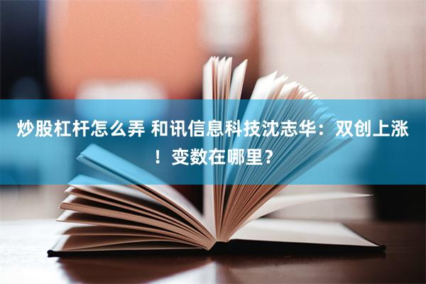 炒股杠杆怎么弄 和讯信息科技沈志华：双创上涨！变数在哪里？