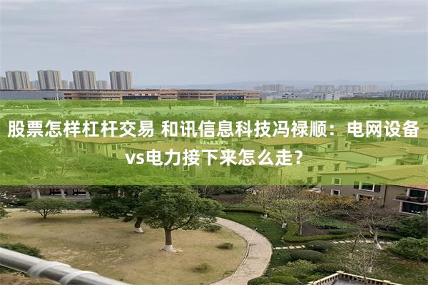股票怎样杠杆交易 和讯信息科技冯禄顺：电网设备vs电力接下来怎么走？