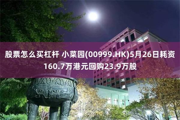 股票怎么买杠杆 小菜园(00999.HK)5月26日耗资160.7万港元回购23.9万股