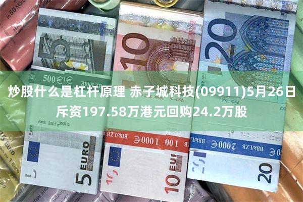 炒股什么是杠杆原理 赤子城科技(09911)5月26日斥资197.58万港元回购24.2万股