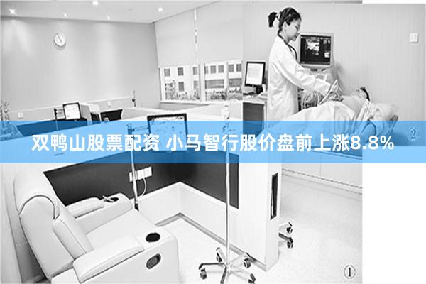 双鸭山股票配资 小马智行股价盘前上涨8.8%