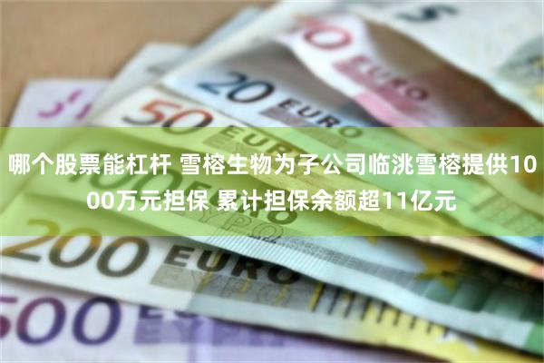 哪个股票能杠杆 雪榕生物为子公司临洮雪榕提供1000万元担保 累计担保余额超11亿元