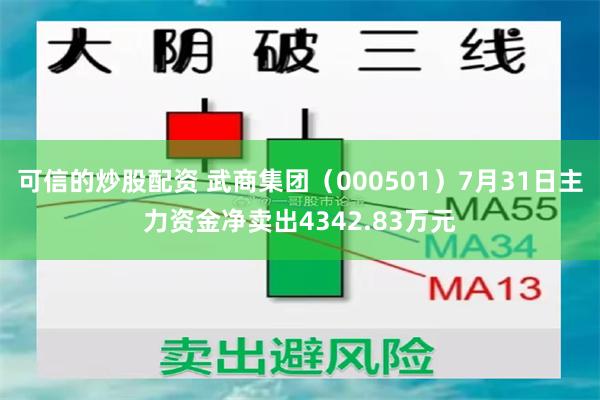 可信的炒股配资 武商集团（000501）7月31日主力资金净卖出4342.83万元