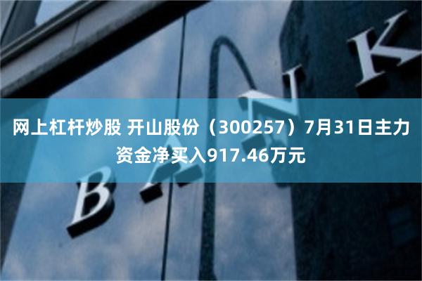 网上杠杆炒股 开山股份（300257）7月31日主力资金净买入917.46万元