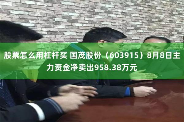 股票怎么用杠杆买 国茂股份（603915）8月8日主力资金净卖出958.38万元