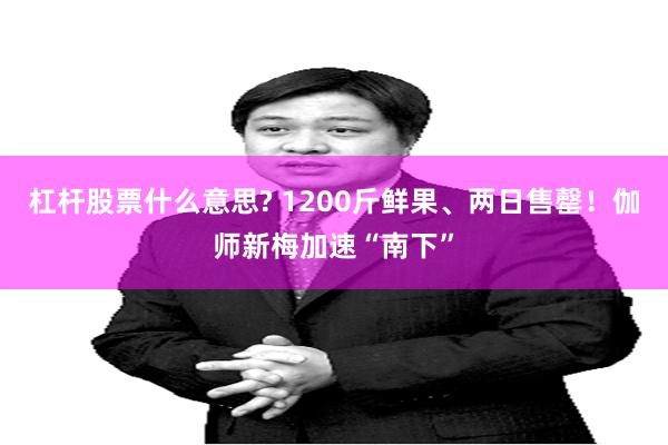 杠杆股票什么意思? 1200斤鲜果、两日售罄！伽师新梅加速“南下”