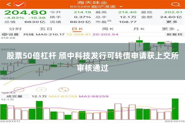 股票50倍杠杆 颀中科技发行可转债申请获上交所审核通过