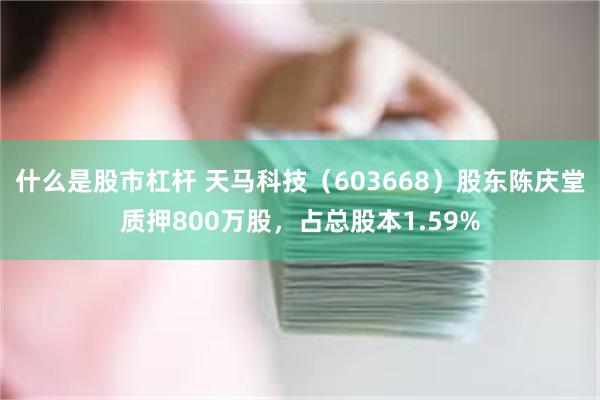 什么是股市杠杆 天马科技（603668）股东陈庆堂质押800万股，占总股本1.59%